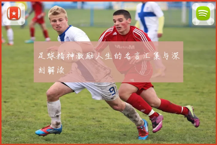 足球精神激励人生的名言汇集与深刻解读