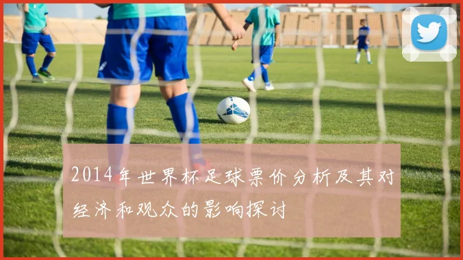 2014年世界杯足球票价分析及其对经济和观众的影响探讨